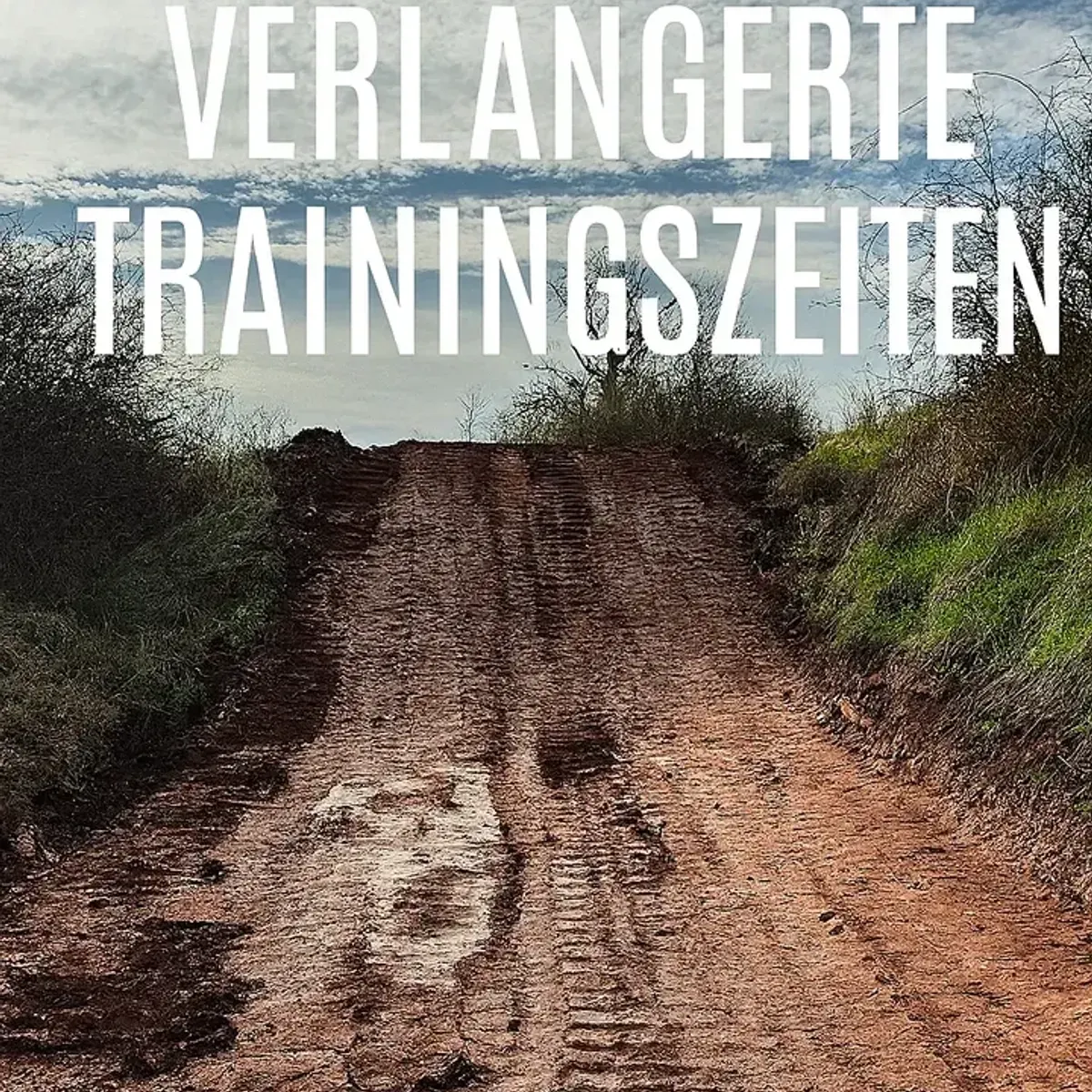 bc96bdc2-ec2c-4155-a0b9-28380120772e